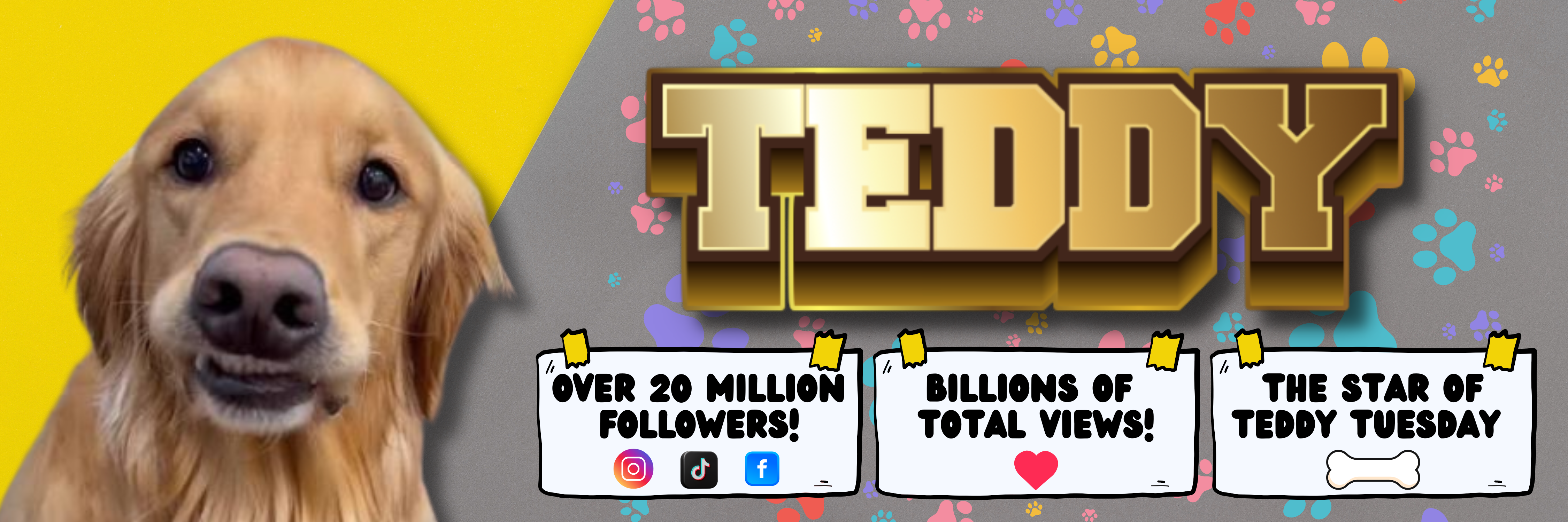 Teddy - Over 20 Million Followers